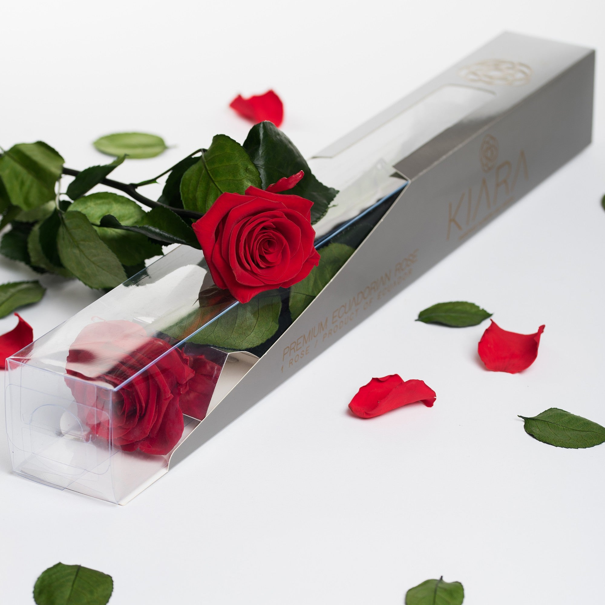 Najchetniej kupowane w tym miesiącu