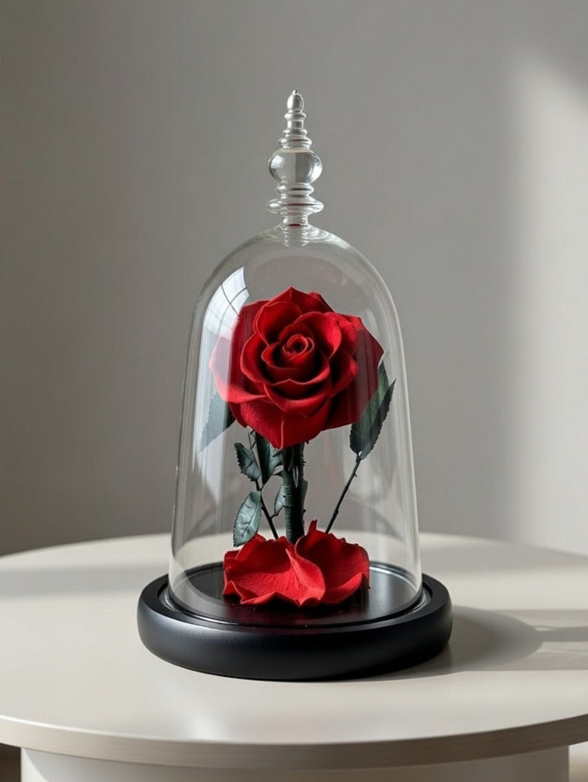 Prawdziwa wieczna róża XXL pod kloszem z LED