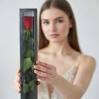 Róża wieczna z łodygą XL (60cm)