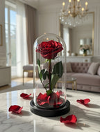 Prawdziwa wieczna róża XXL pod kloszem z LED