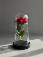 Róża pod kloszem - czerwona z podświetleniem LED