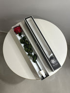 Róża wieczna z łodygą XL (60cm)