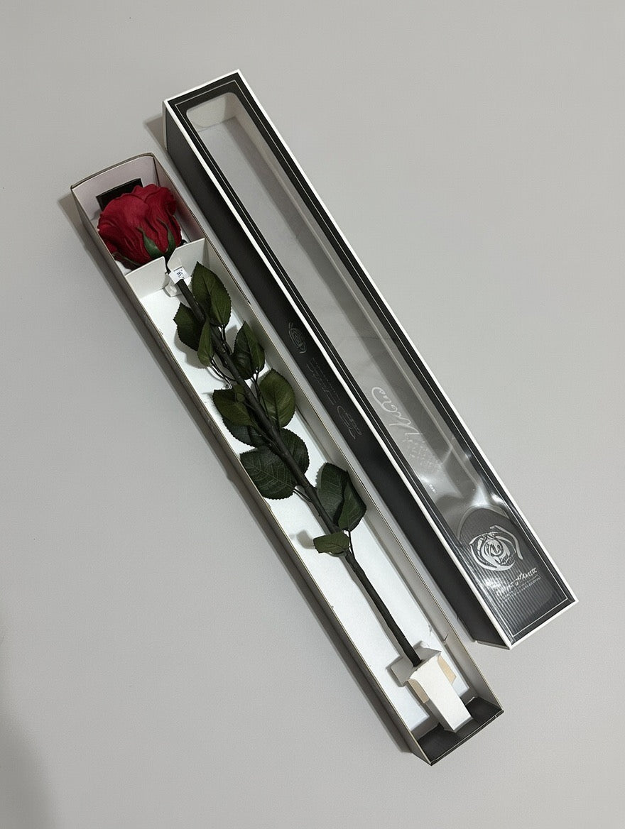 Róża wieczna z łodygą XL (60cm)