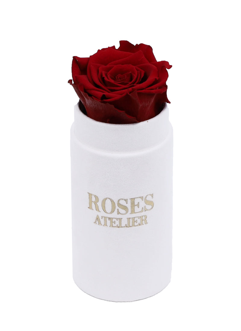 Mini Flower Box z Bordową Wieczną Różą (beżowe pudełko)