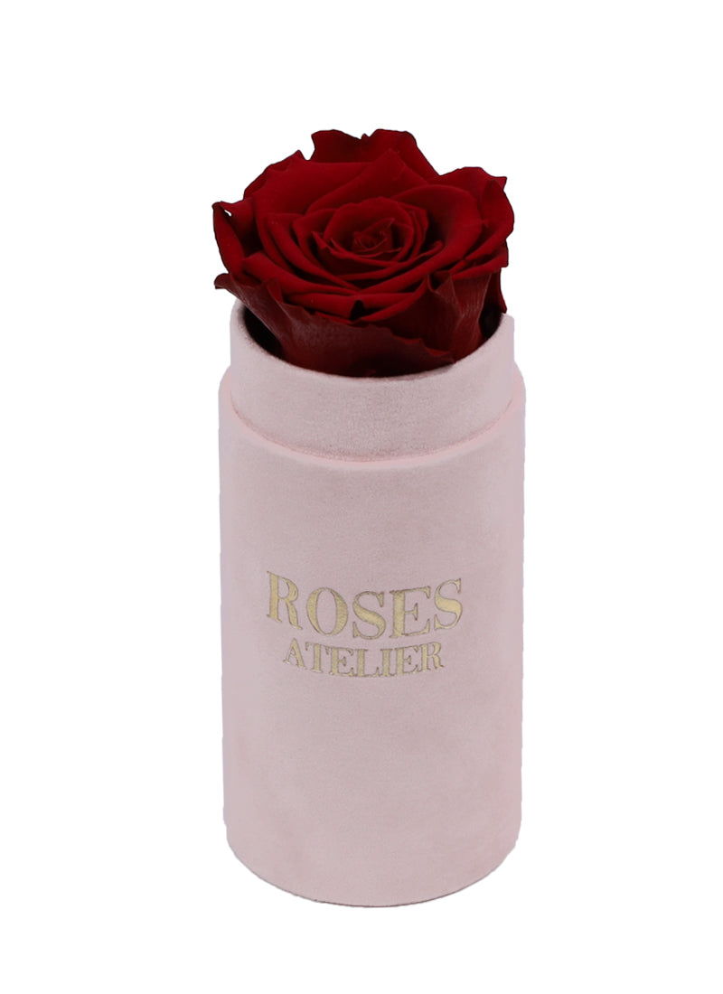 Mini Flower Box z Bordową Wieczną Różą (beżowe pudełko)