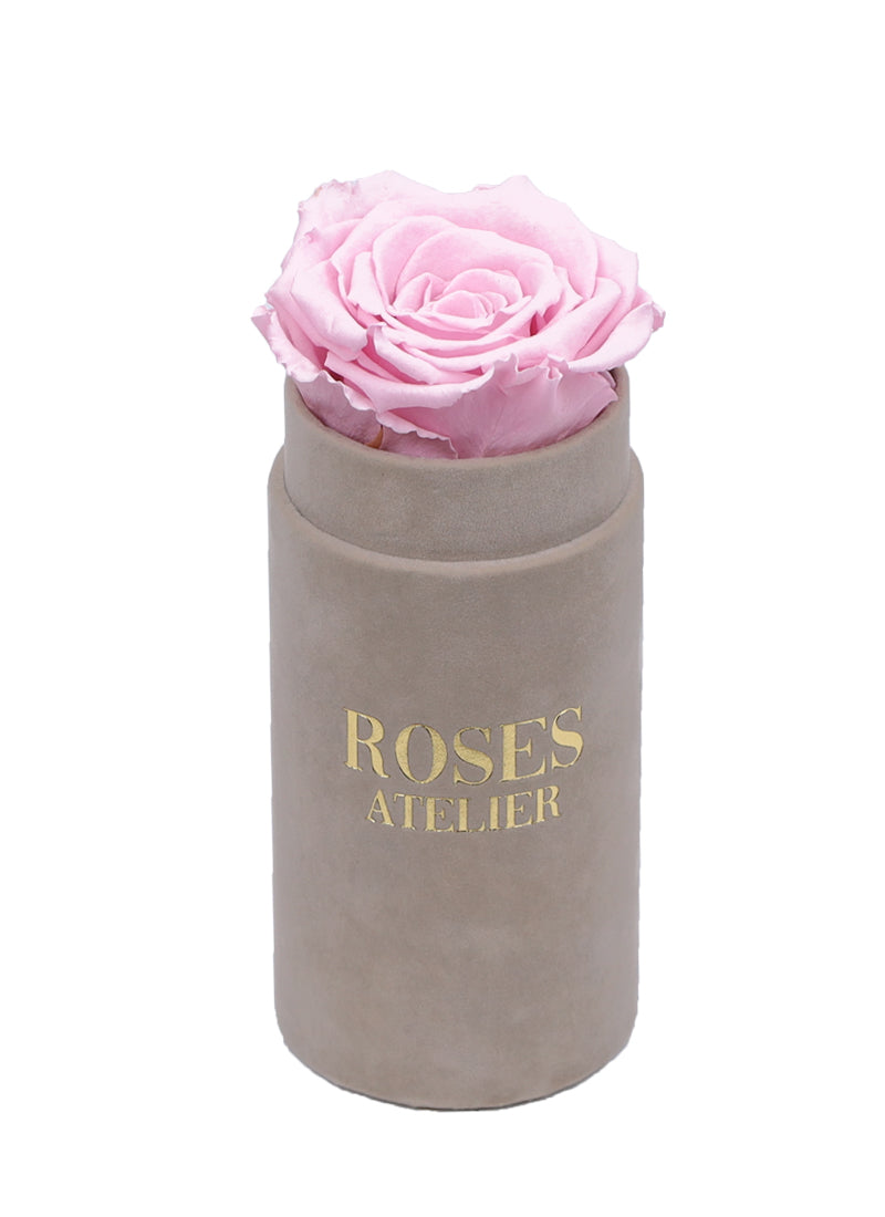 Mini Flower Box z Różową Wieczną Różą (białe pudełko)