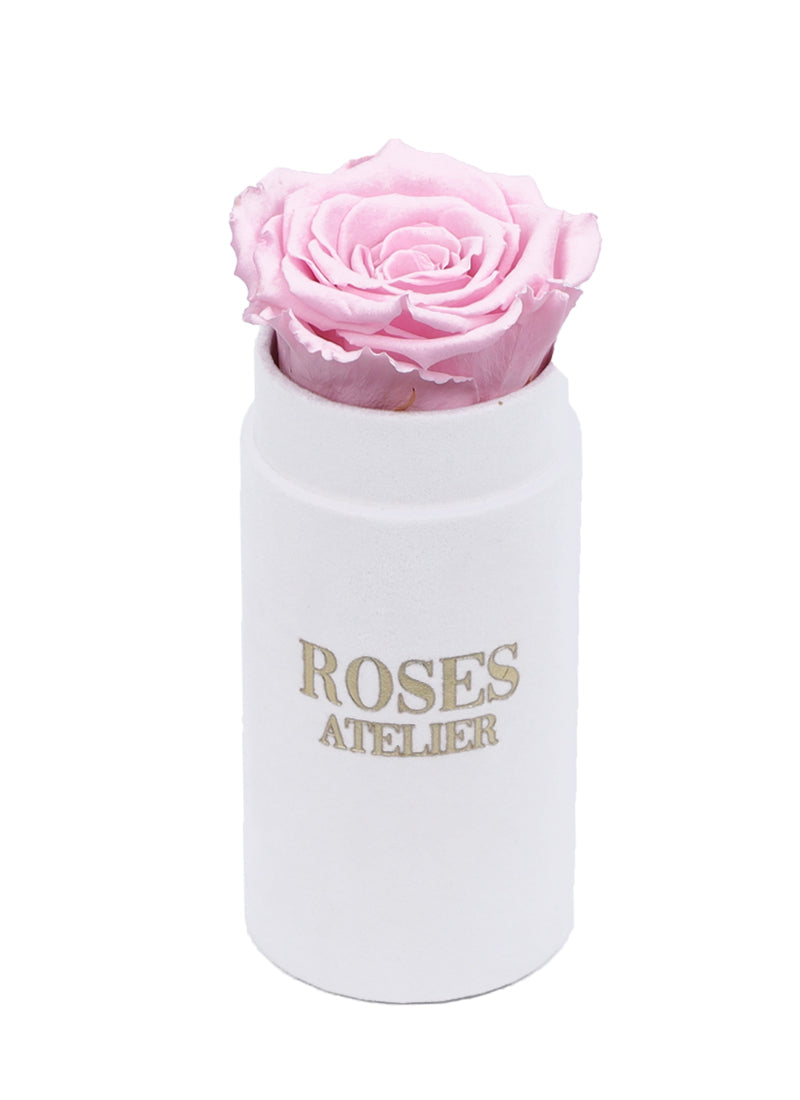 Mini Flower Box z Różową Wieczną Różą (białe pudełko)