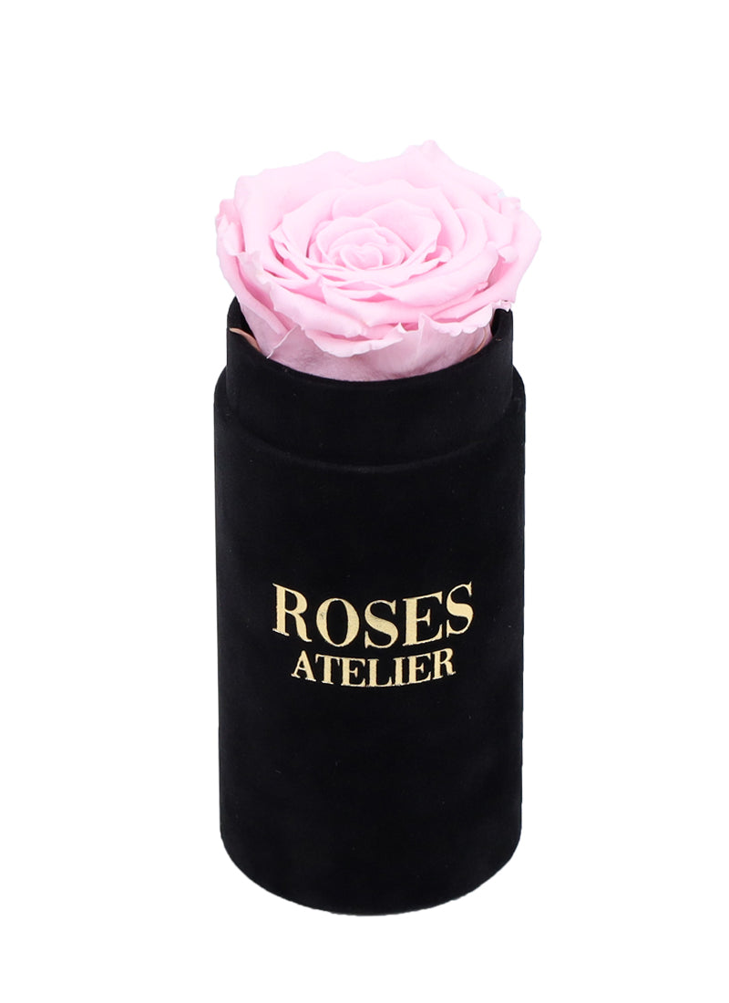 Mini Flower Box z Różową Wieczną Różą (białe pudełko)