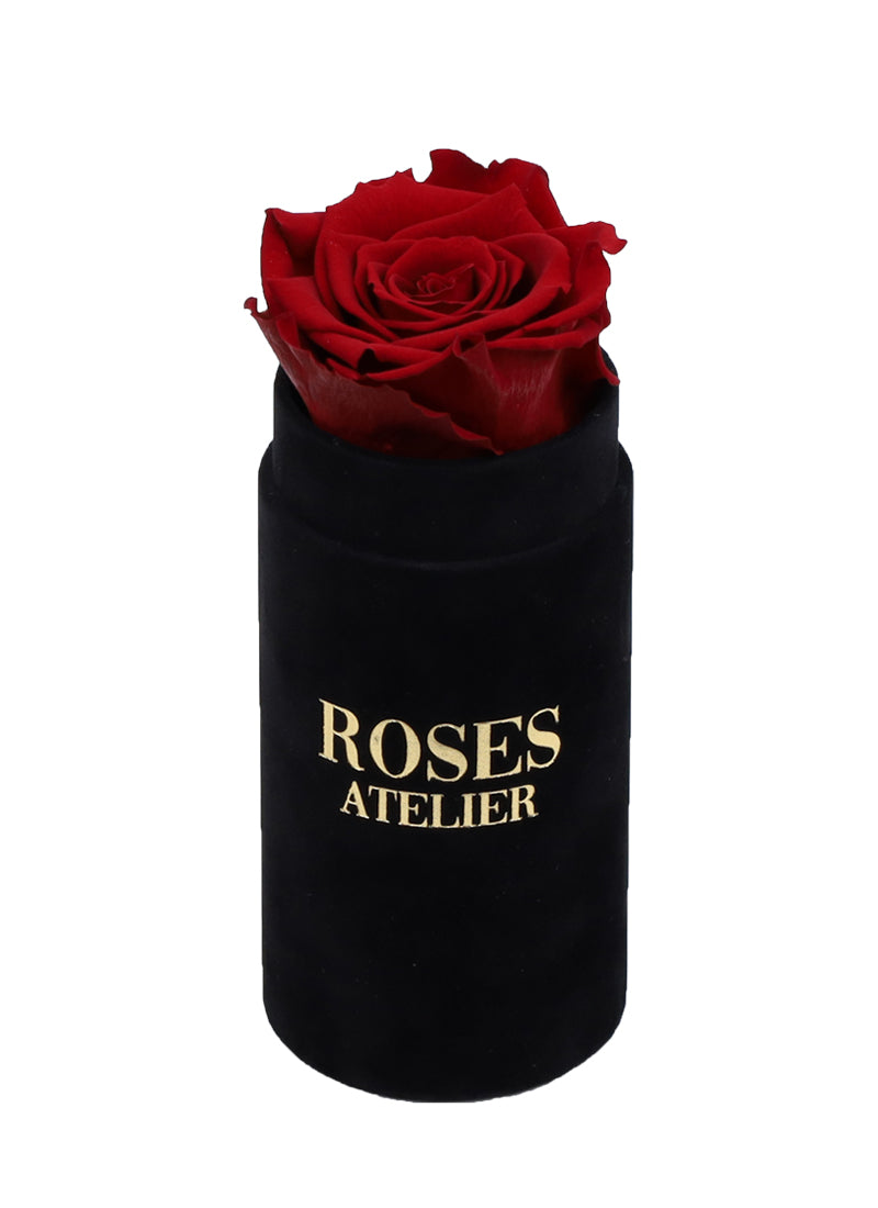 Mini Flower Box z Bordową Wieczną Różą (beżowe pudełko)