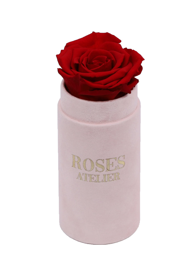 Mini Flower Box z Czerwoną Wieczną Różą (czarne pudełko)