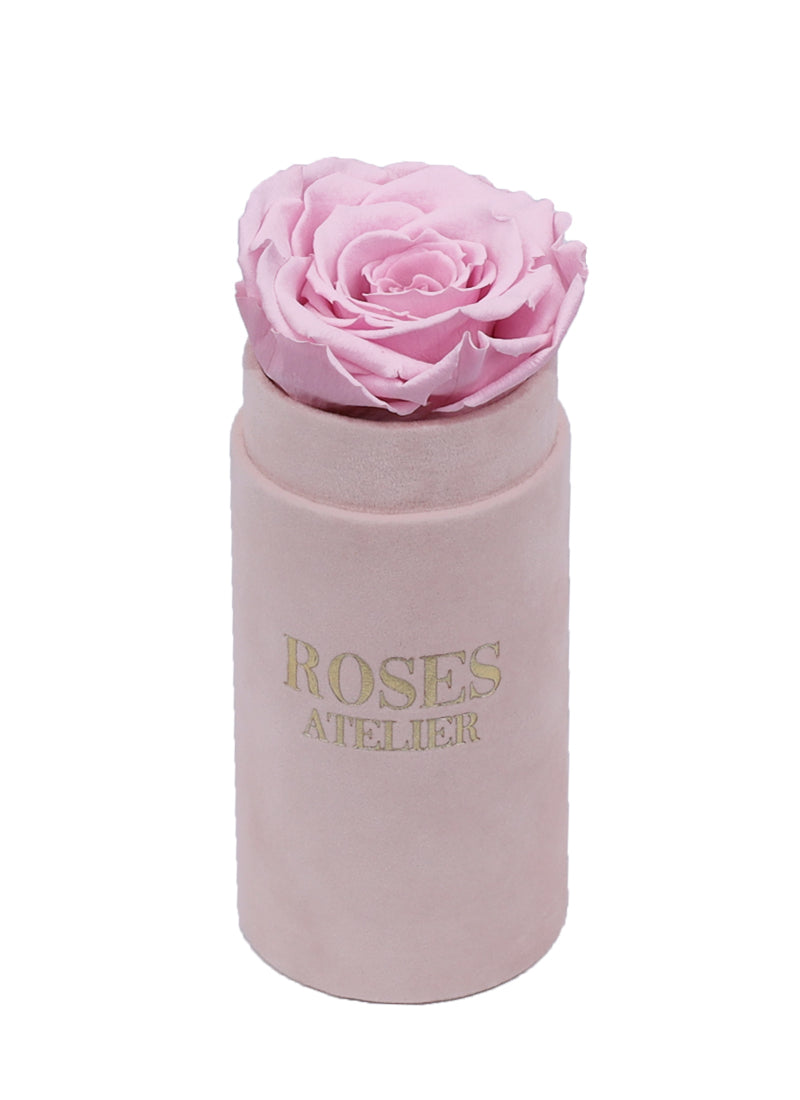 Mini Flower Box z Różową Wieczną Różą (białe pudełko)