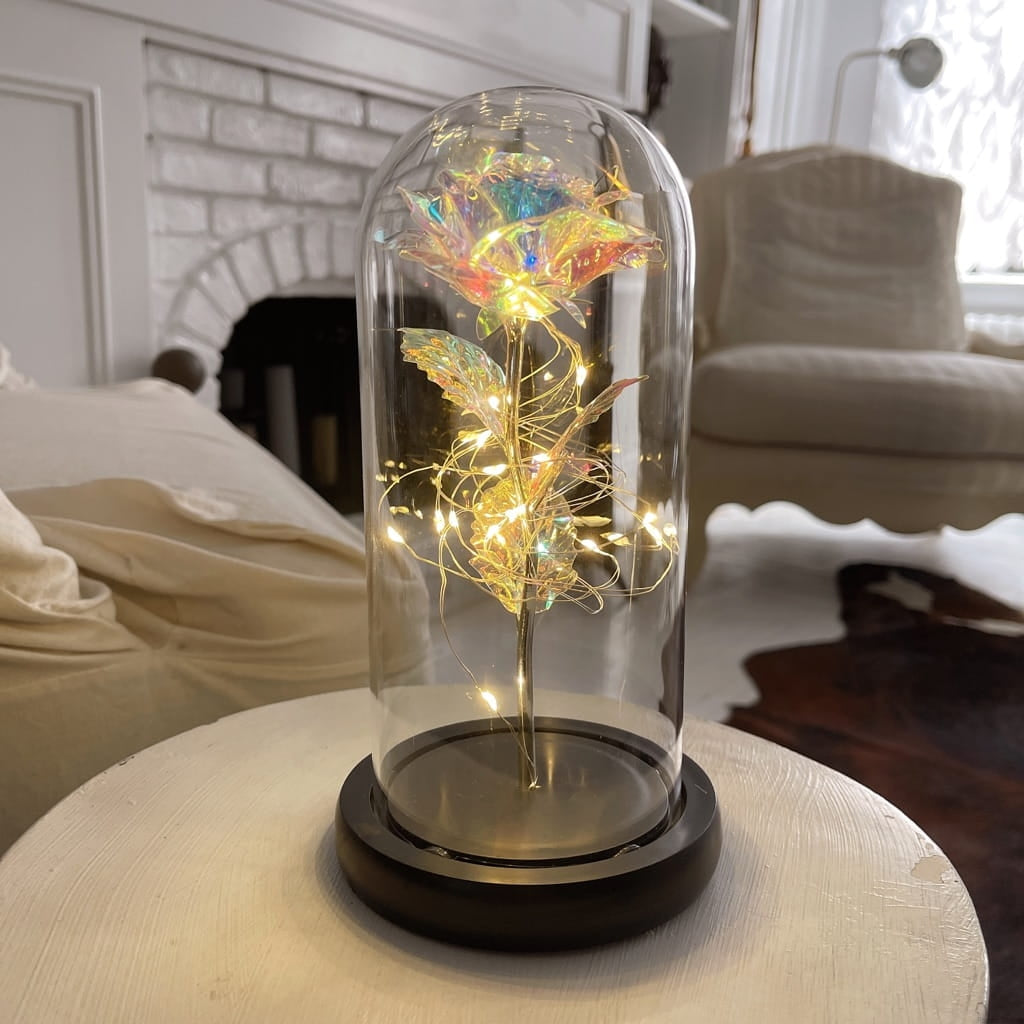 Róża pod kloszem - tęczowa