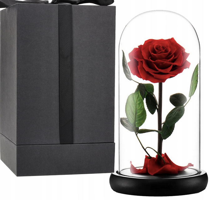 Róża pod kloszem - czerwona z podświetleniem LED