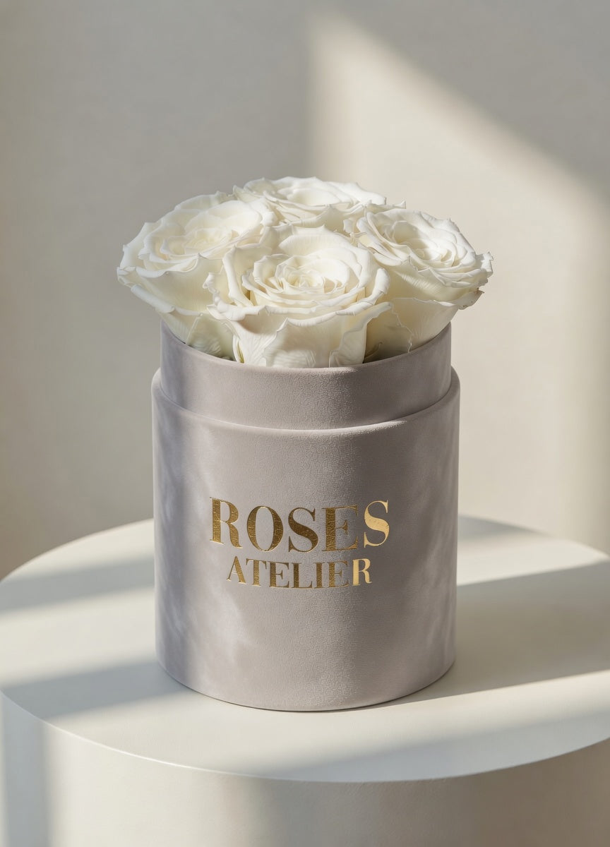 Wieczne róże białe - flower box beżowy (taupe) - mały