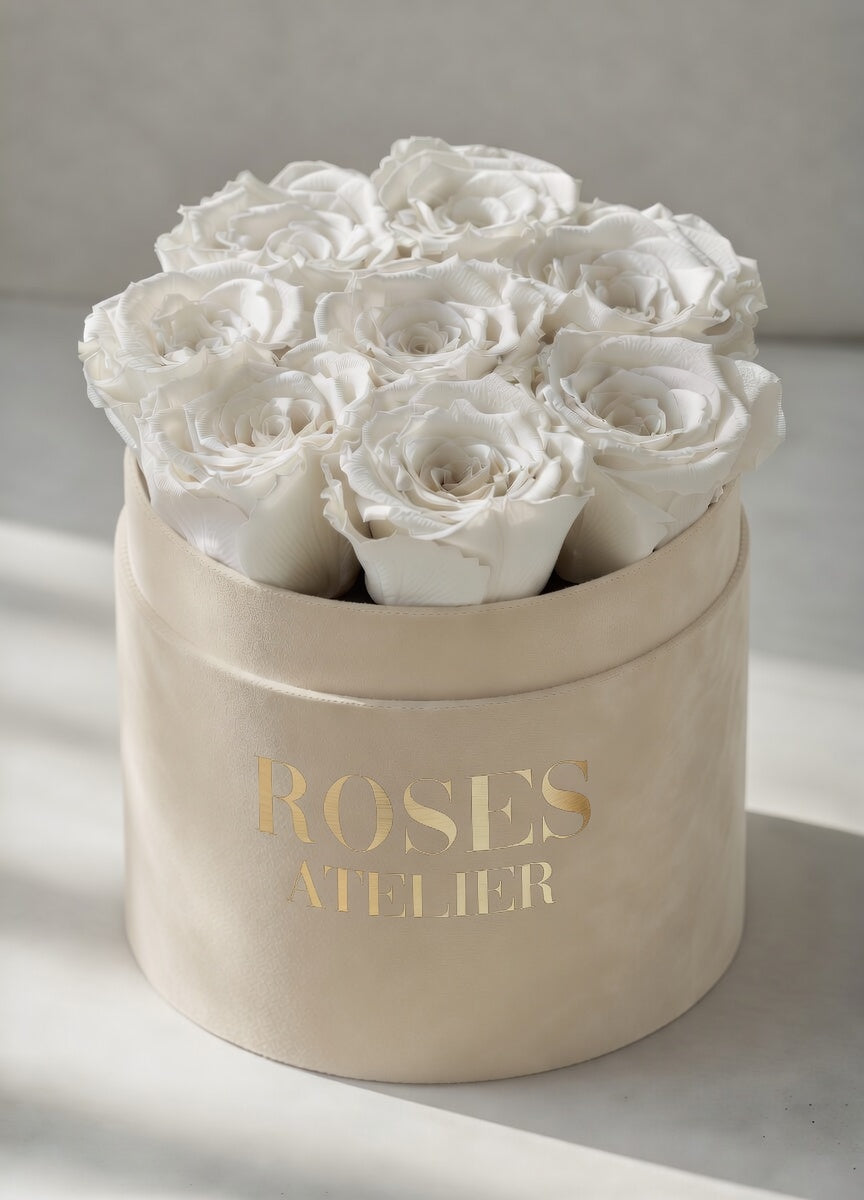 Białe Wieczne Róże - Flower Box Kremowy Średni