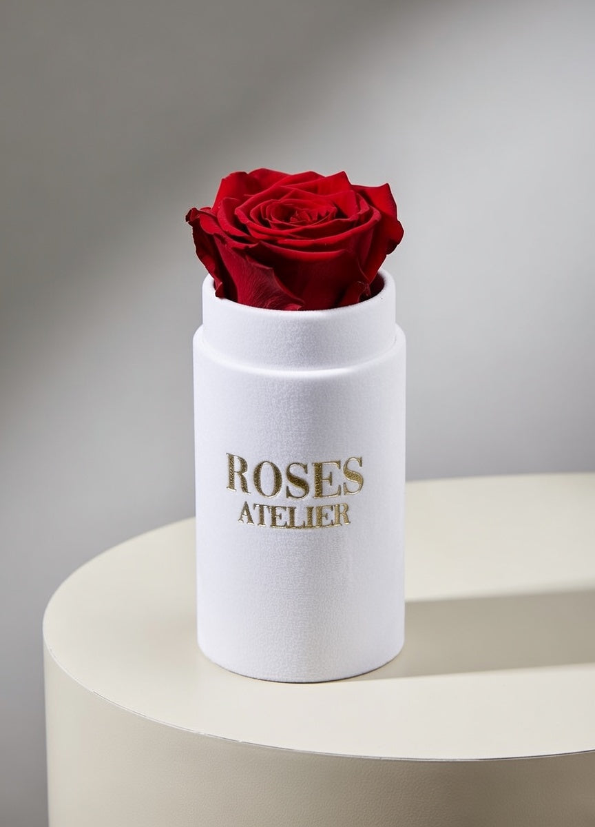 Czerwona wieczna róża w białym flower boxie