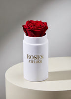 Czerwona wieczna róża w białym flower boxie