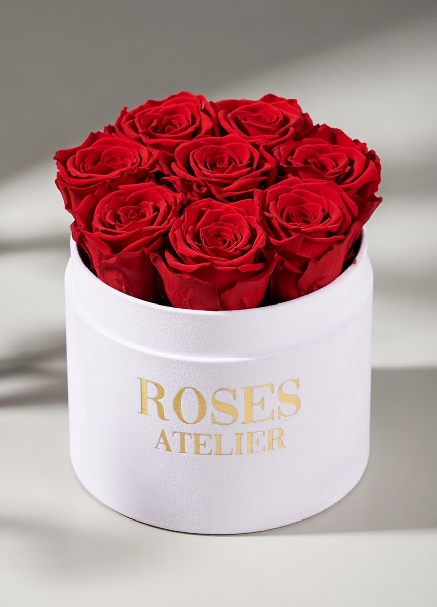 Czerwone wieczne róże w średnim białym flower boxie