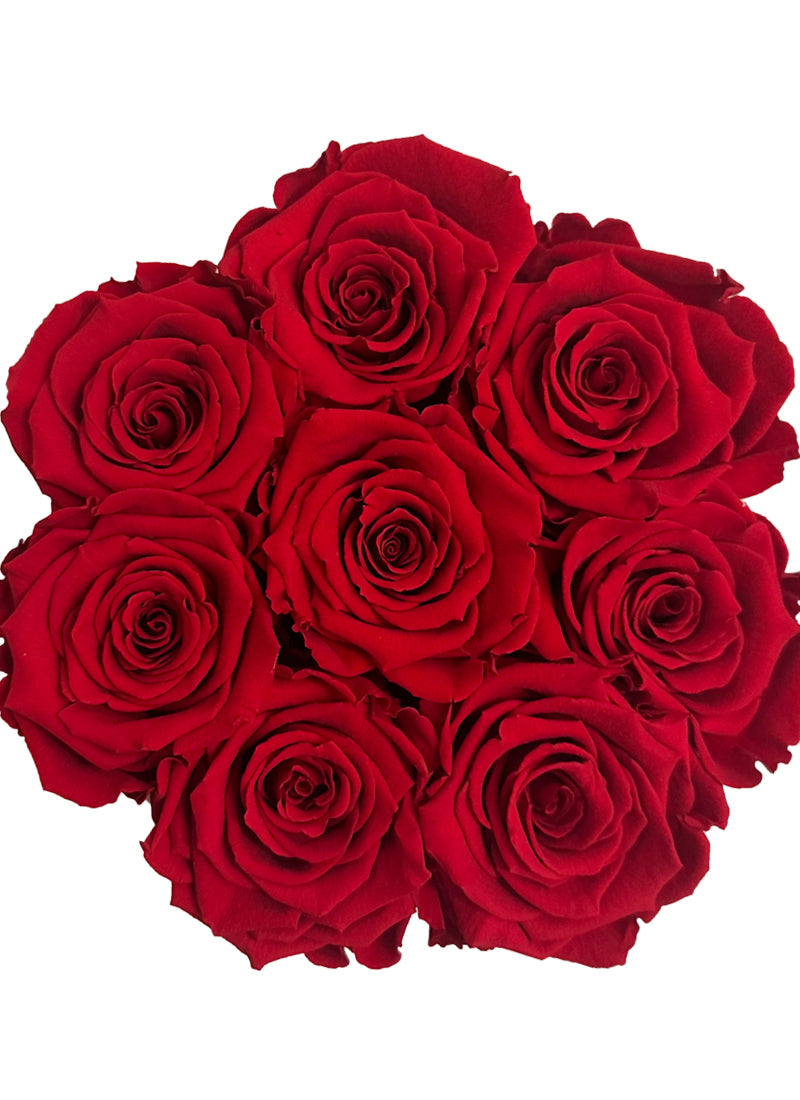 Czerwone wieczne róże w okrągłym flower boxie