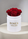 Wieczne róże bordowe w małym białym flower boxie