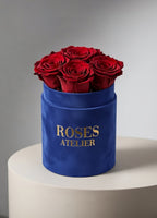 Bordowe wieczne róże w małym niebieskim flower boxie