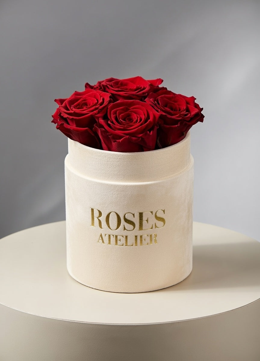 Ciemnoczerwone wieczne róże w małym piaskowym flower boxie – elegancki prezent