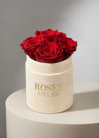 Czerwone wieczne róże w małym piaskowym flower boxie