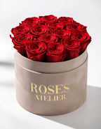 Czerwone wieczne róże w dużym beżowym flower boxie