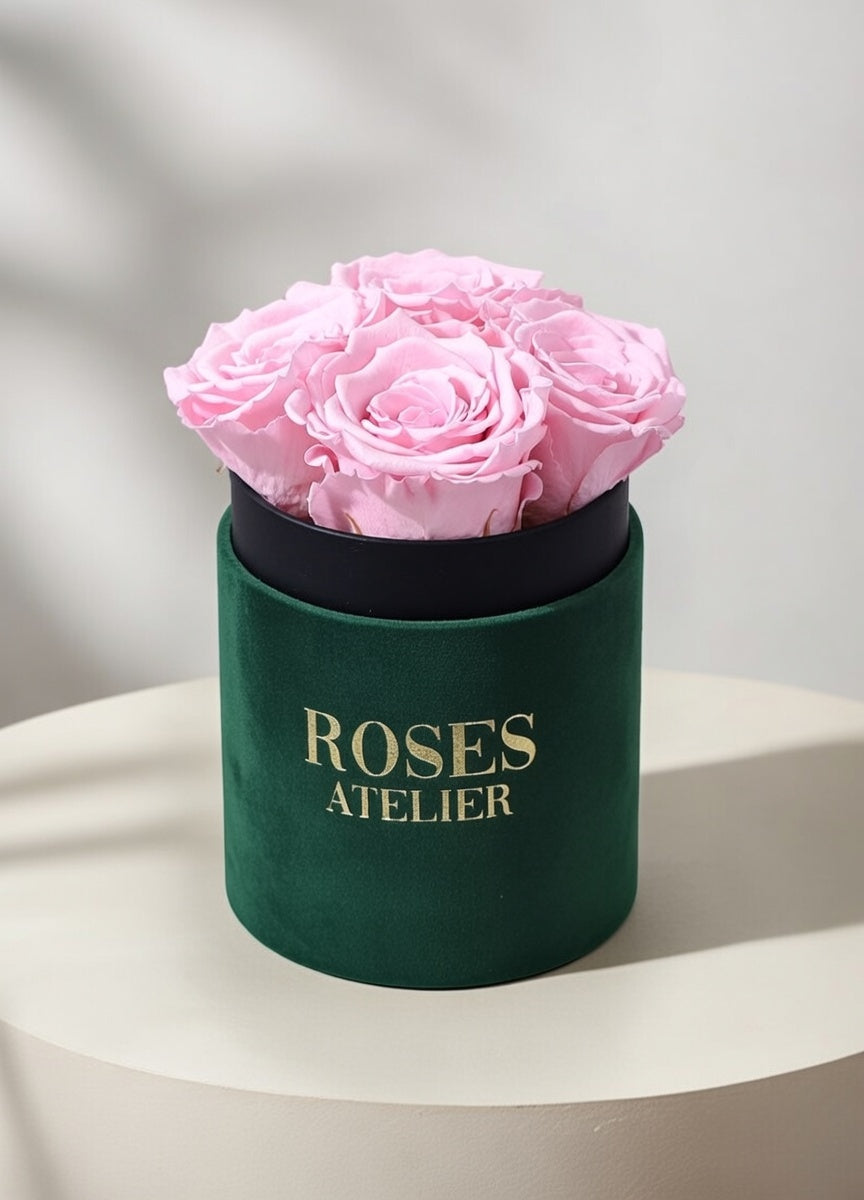 Mały zielony flower box z różowymi wiecznymi różami