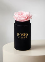 Mini flower box z jedną różową wieczną różą w czarnym pudełku