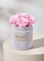 Pudroworóżowe wieczne róże w małym szarym flower boxie