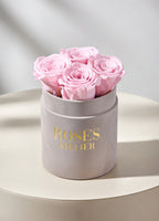 Różowe wieczne róże w małym beżowym flower boxie