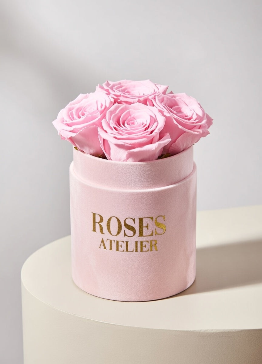 Wieczne róże pudroworóżowe w małym różowym flower boxie