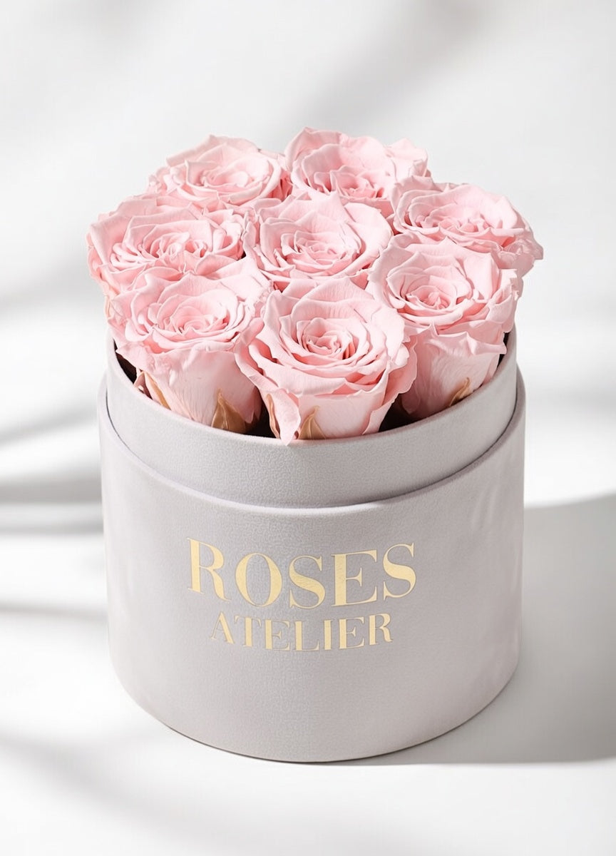 Różowe wieczne róże w średnim szarym flower boxie