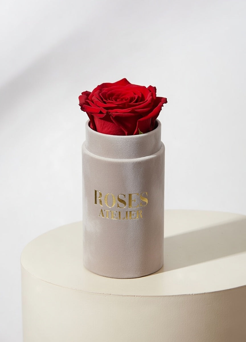 Mini flower box z jedną czerwoną wieczną różą w beżowym pudełku
