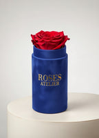 Mini flower box z jedną czerwoną wieczną różą w niebieskim pudełku – elegancki drobny prezent