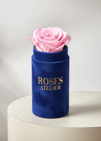 Mini flower box – pojedyncza różowa wieczna róża w niebieskim pudełku