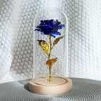 Róża pod kloszem - niebieska (chabrowa)