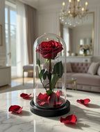 Prawdziwa wieczna róża pod kloszem w kolorze czerwonym - róża stabilizowana