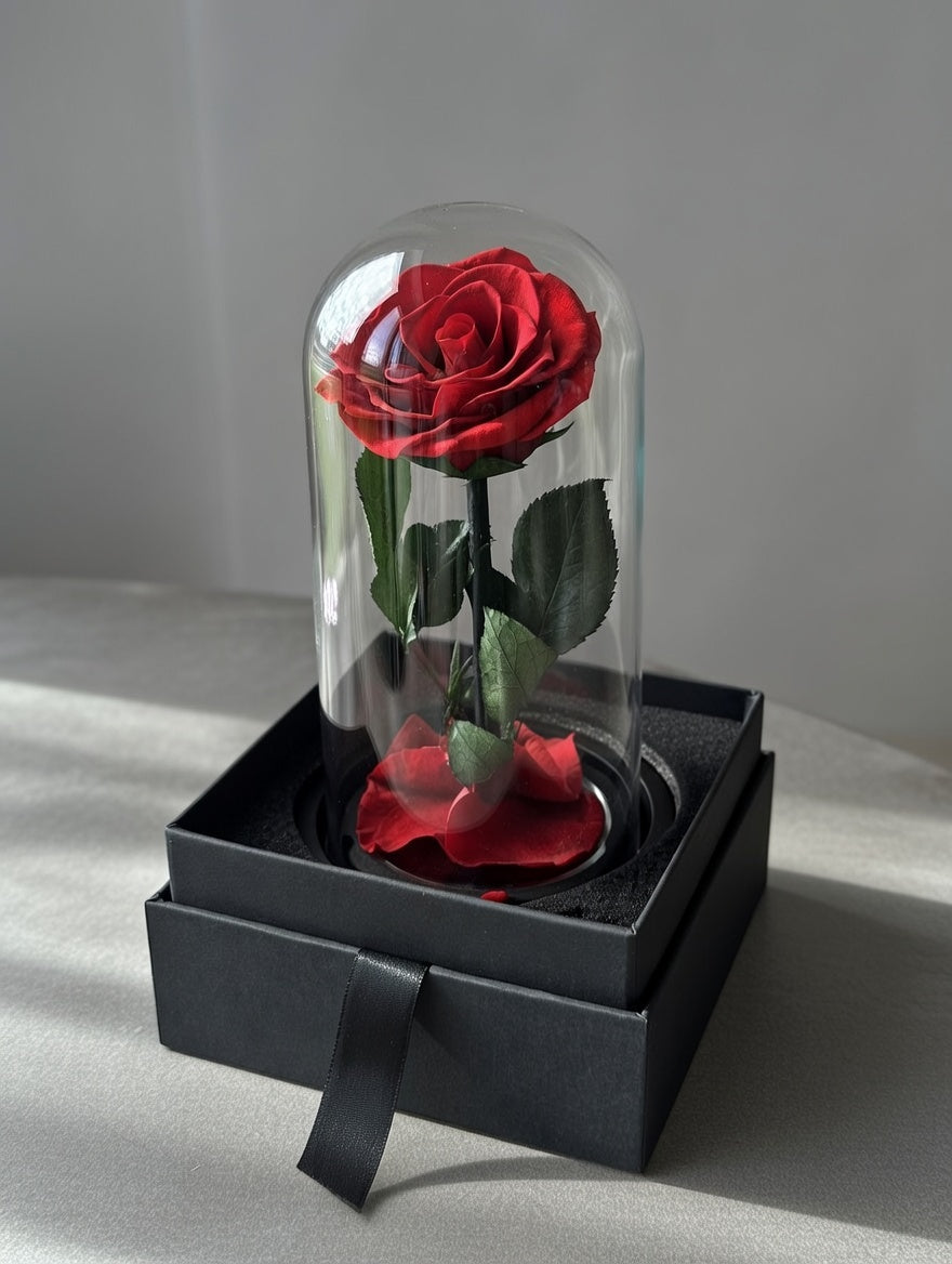 Prawdziwa wieczna róża pod kloszem XL