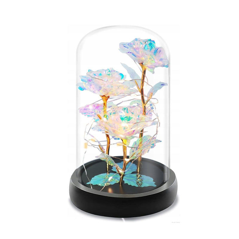 Róża pod kloszem - tęczowa XXL