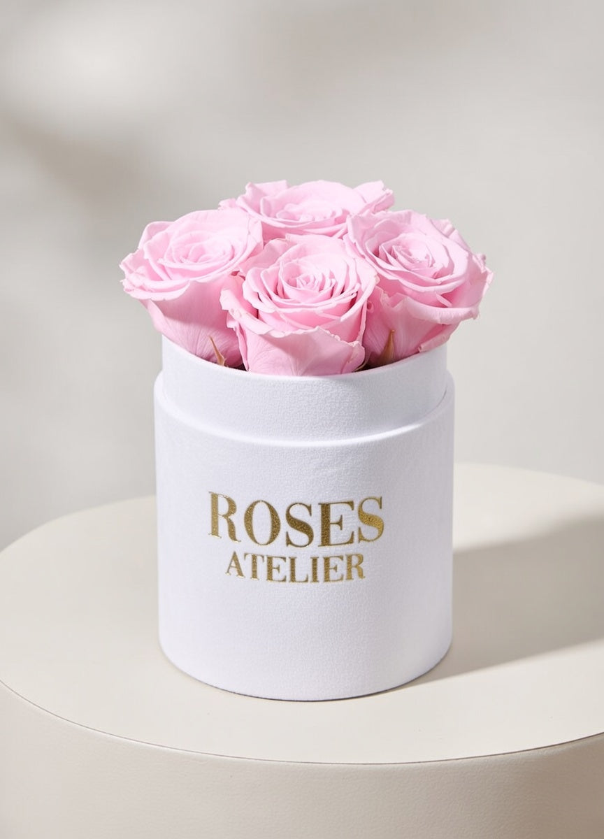 Różowe wieczne róże w białym flower boxie