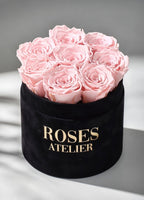 Różowe wieczne róże w średnim czarnym flower boxie