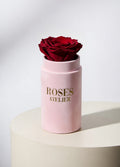 Wieczna róża bordowa w różowym flower boxie