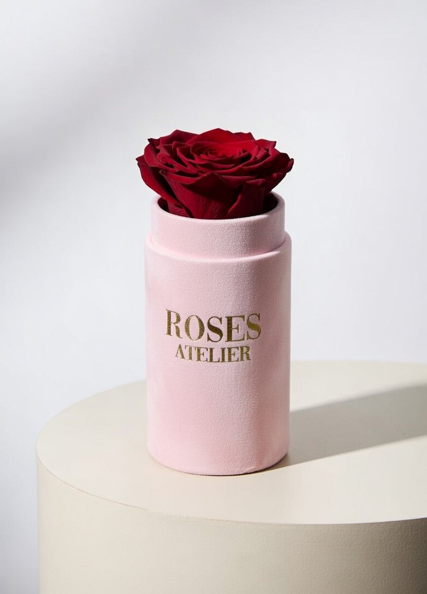 Wieczna róża bordowa w różowym flower boxie