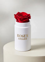 Czerwona wieczna róża w białym mini flower boxie – elegancki prezent