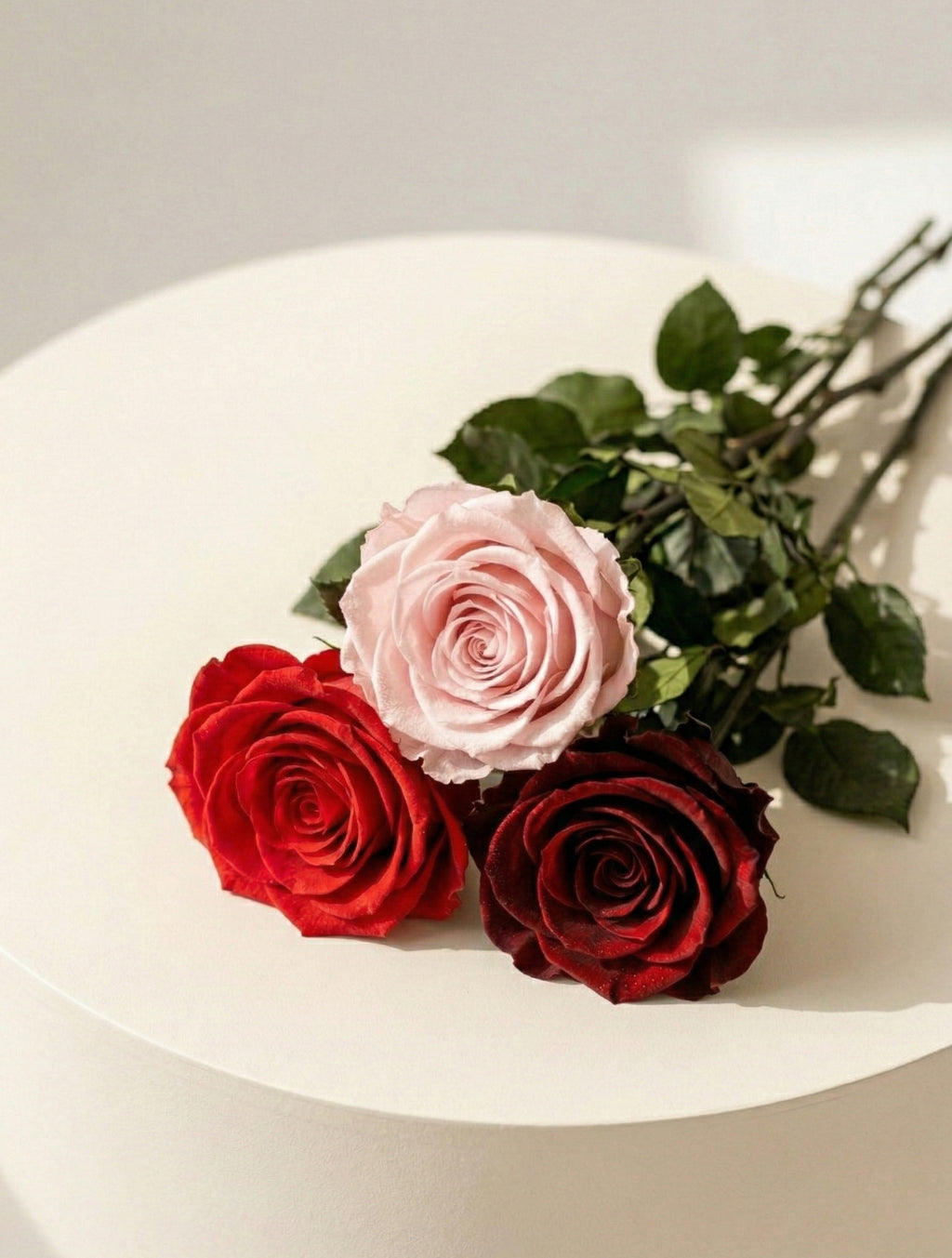 Wieczna róża z łodygą czerwona - Prawdziwa róża stabilizowana - XL - 60cm