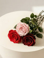 Wieczna róża z łodygą czerwona - Prawdziwa róża stabilizowana - XL - 60cm