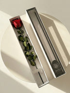 Wieczna róża z łodygą czerwona - Prawdziwa róża stabilizowana XL - 60cm