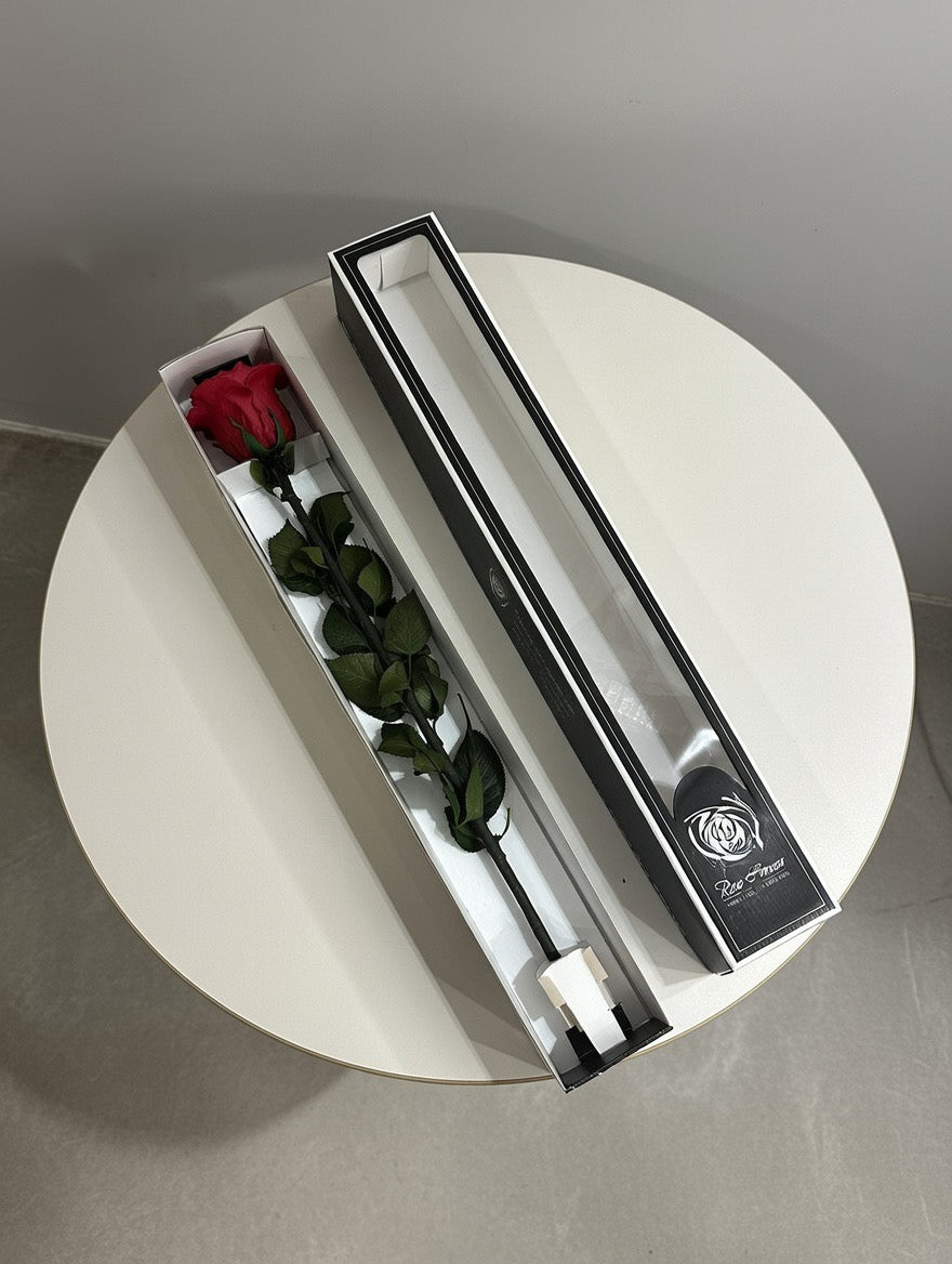 Wieczna róża z łodygą czerwona - Prawdziwa róża stabilizowana XL - 60cm